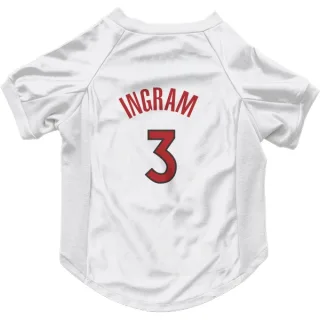 Toronto Raptors Brandon Ingram White  Dog & Cat Pet Jersey