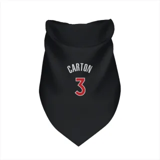 Toronto Raptors D.J. Carton Black  Red Dog & Cat Pet Bandana