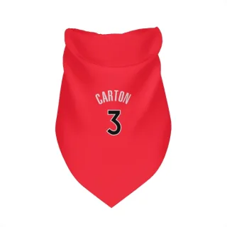 Toronto Raptors D.J. Carton Red  Dog & Cat Pet Bandana