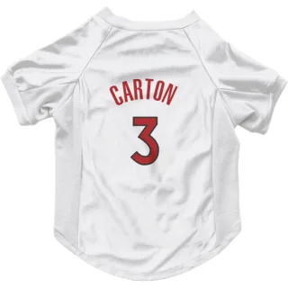 Toronto Raptors D.J. Carton White  Dog & Cat Pet Jersey
